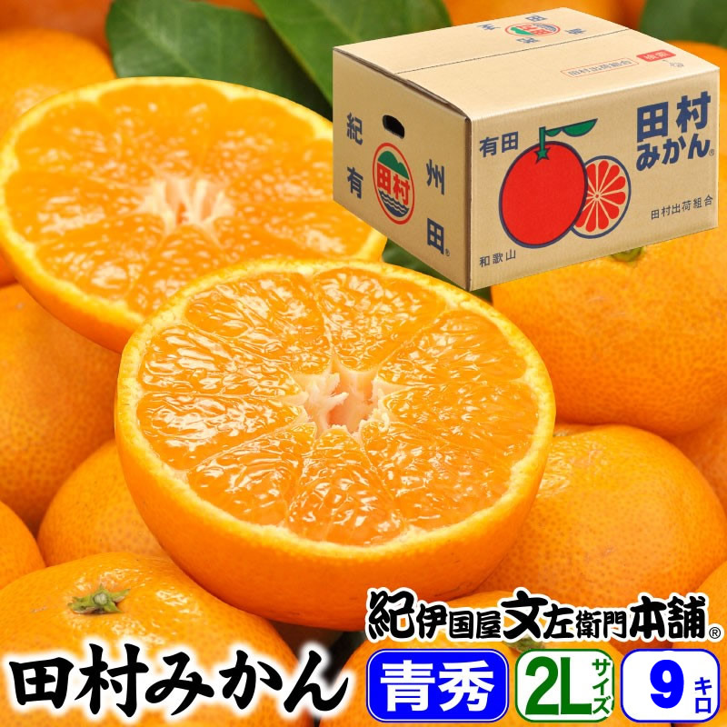 田村みかん・ギフト品 青秀【ＬＬサイズ】9kg(約60果前後) 有田みかんの最高ブランド 紀州 和歌山 高級みかん【送料無料】／２～５営業日で順次出荷中
