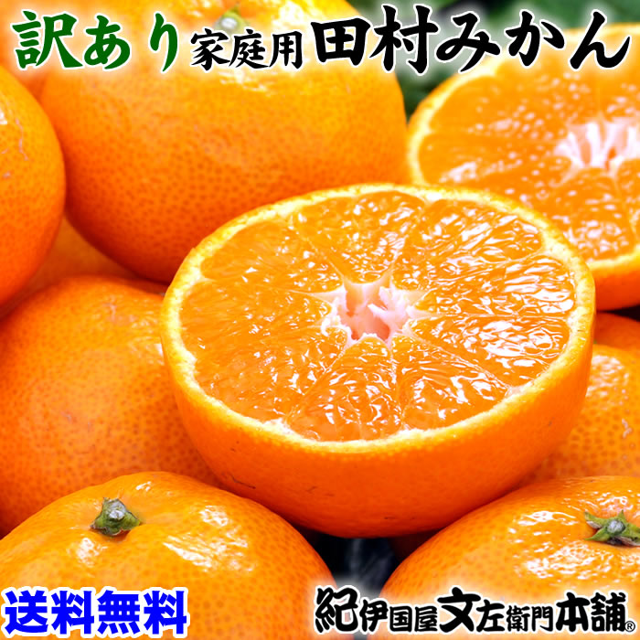 田村みかん訳あり