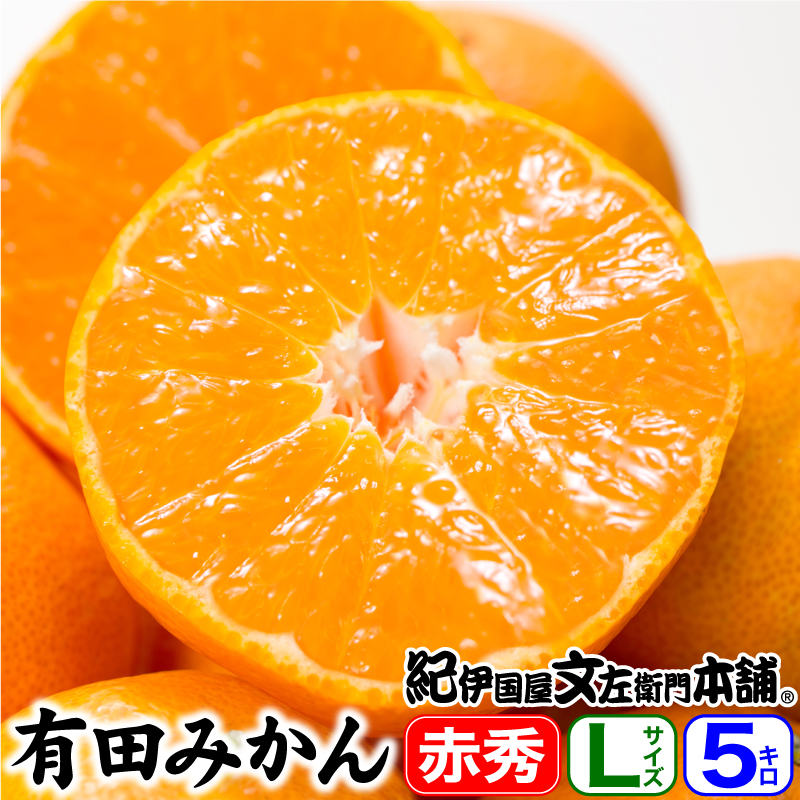 順次出荷　山城さんちの有田みかん特選ギフト選別　【Lサイズ】約５ｋｇ（45果前後）【送料無料】／２～５営業日で順次出荷中