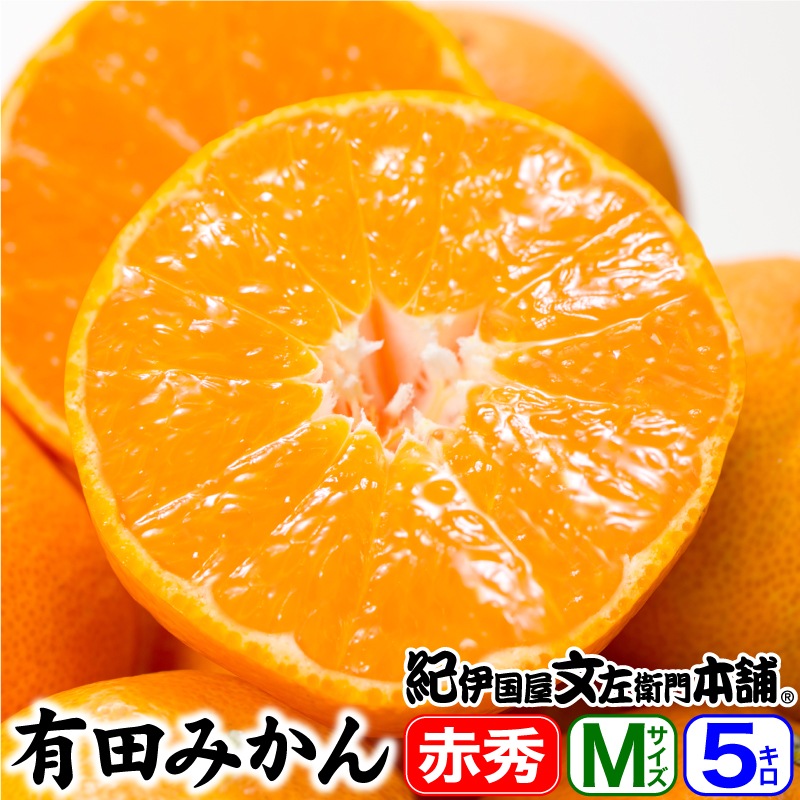 山城さんちの有田みかん特選ギフト選別　【Mサイズ】約５ｋｇ（50果前後）【送料無料】／２～５営業日で順次出荷中