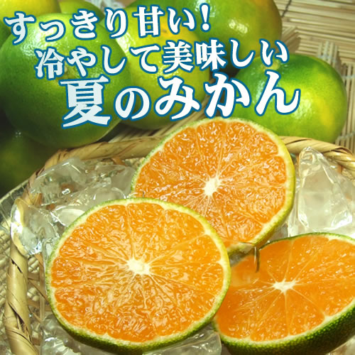 グリーンハウスみかん