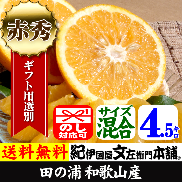 田の浦オレンジ