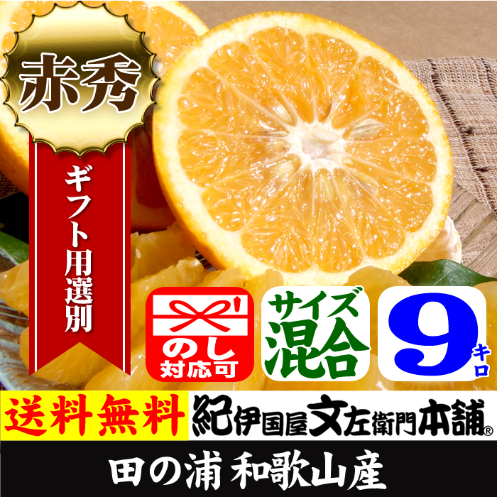 田の浦オレンジ