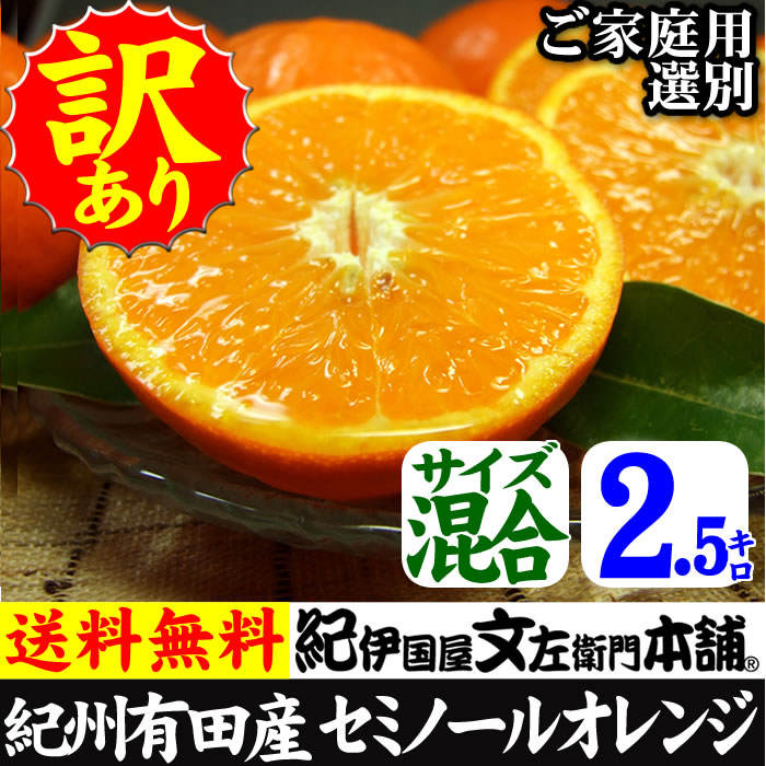 マルス　セミノール