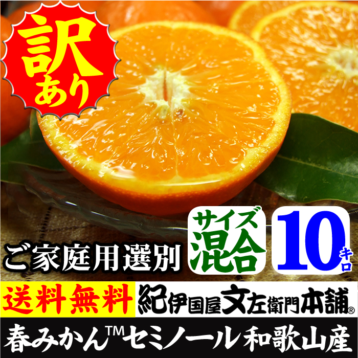 マルス　セミノール