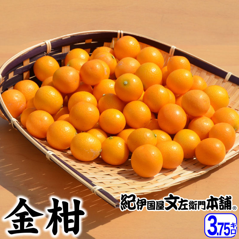 【順次出荷】 金柑(きんかん) 約3.75kg 和歌山産 大玉【2Ｌ～3Ｌサイズ】【お届け日指定不可】