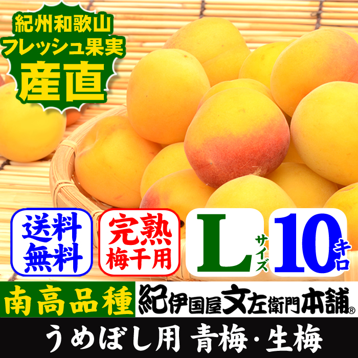 青梅　完熟