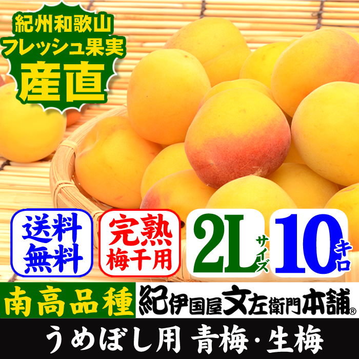 青梅　完熟