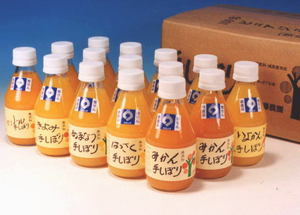 手しぼり100%ピュアジュース　180ml　１２本セット【送料無料】