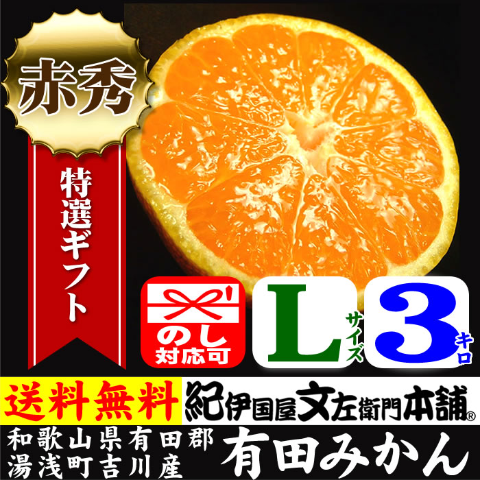 吉川産有田みかん