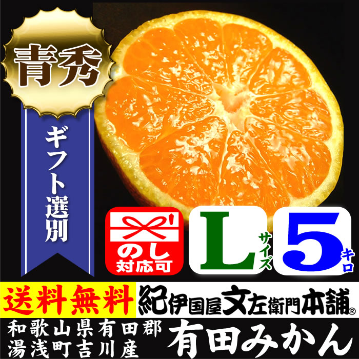 吉川産有田みかん