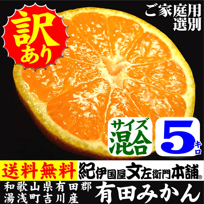 吉川産有田みかん