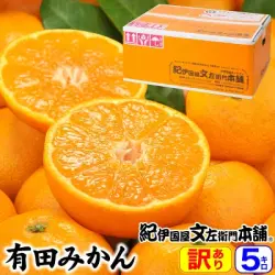 【予約販売】紀伊国屋認定 有田みかん【サイズ混合】約5kg【訳あり】ご家庭用　送料無料・産地直送／10月中旬頃から順次発送予定
