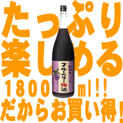 紀州のブルーベリー梅酒1800ml中野BC【和歌山県産】【果実酒】
