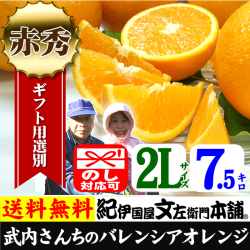 武内　バレンシア