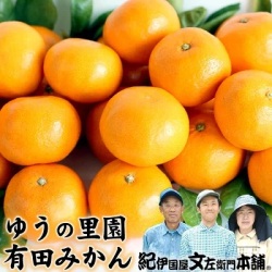 【順次出荷】ゆうの里園 有田みかん 青秀 Sサイズ 約5kg[約60～65果]  【送料無料】温州みかんの生産量日本一の和歌山県 みかんの名産地 有田地方から産地直送品  お歳暮 贈答 ギフトに ／ ２～５営業日で順次出荷中