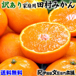 田村みかん訳あり