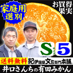 みかん　井口