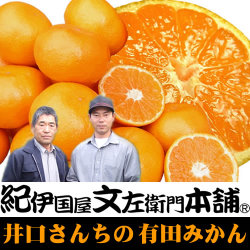 紀州 和歌山みかん 井口さんがつくる完熟 有田みかん 約5kg【2Sサイズ 約70-75果】特選ギフト品