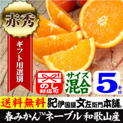 マルス　ネーブル