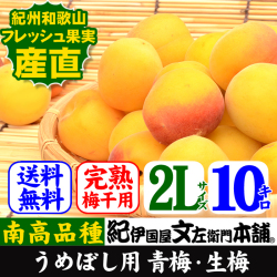 青梅　完熟