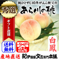 【予約販売】紀州和歌山　あら川の桃　【白鳳種】 手選り【秀選】　約1.8ｋｇ／5～6玉入/7月中旬頃から順次発送予定