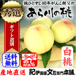 【予約販売】紀州和歌山　あら川の桃　【白桃種】 手選り【秀選】　約1.8ｋｇ／5～6玉入/7月下旬頃から順次発送予定