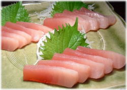 トロビンチョウ