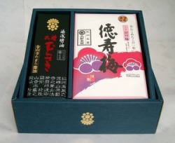 湯浅物語〔中〕　醤油・梅セット　【丸新本家・湯浅醤油】　[丸新52304]