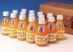 手しぼり100%ピュアジュース　180ml　１２本セット【送料無料】