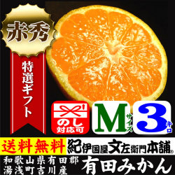 吉川産有田みかん