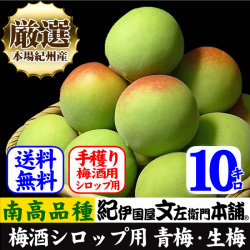予約販売　厳選南高梅 フレッシュ青梅(生梅)【 緑 】１０ｋｇ 梅干のブランド 厳選 朝採り手選別　青梅(生梅)　南高梅【梅酒用・梅干用】【送料無料】/6月上旬から順次発送予定