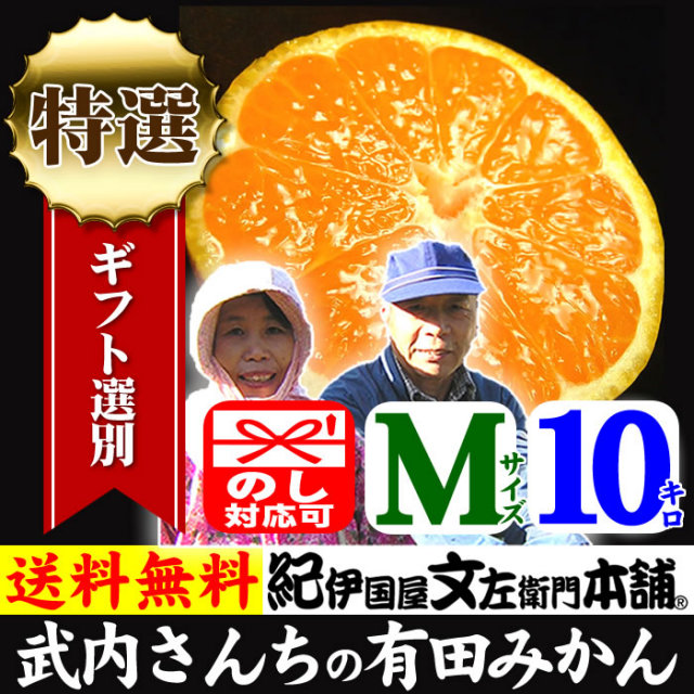 高級有田みかん 武内さんちの有田みかん[送料無料]