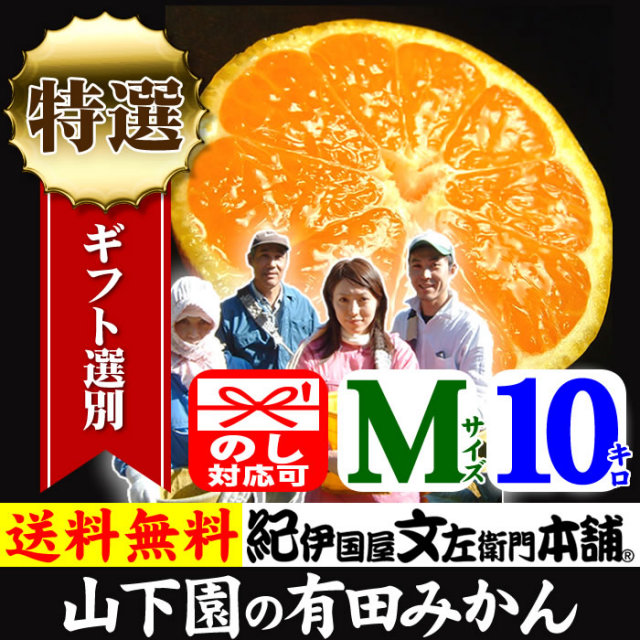 有田みかん【送料無料：厳選ギフト】山下園の有田みかん 【Mサイズ