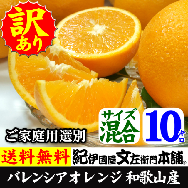 紀州有田産 わけあり柑橘・バレンシアオレンジ（買得品10kg）ご家庭用