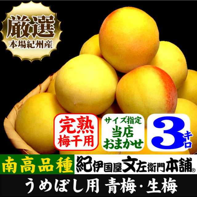 梅 おまかせ熟梅 10kg 和歌山産 ご家庭用 冷蔵便 送料無料 食品 6/ 梅 おまかせ熟梅 10kg 和歌山産 ご家庭用 冷蔵便 送料無料 食品 6/