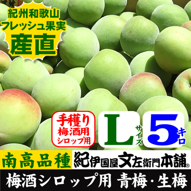 青梅 紀州南高梅 約2kg 和歌山 常温発送 朝採れ 梅酒 梅シロップ