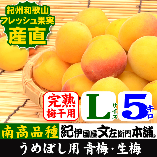 食品 ilmareさま専用 大きめ青梅5キロ