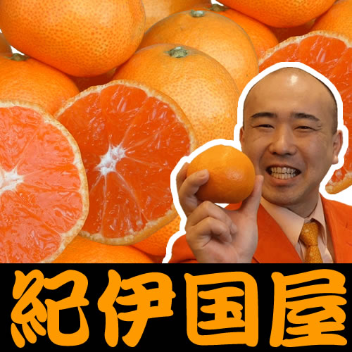 高級有田みかん 武内さんちの有田みかん[送料無料]