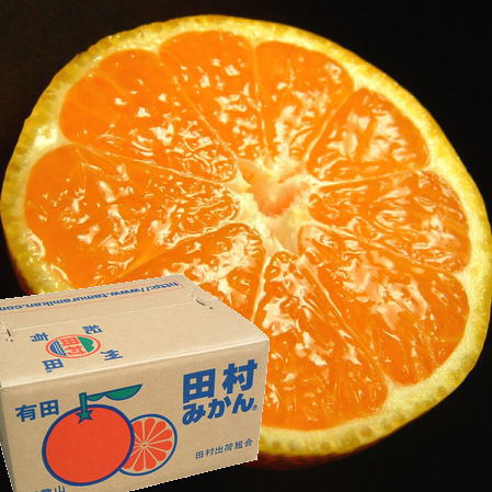 田村みかん[赤秀]特選ギフト品
