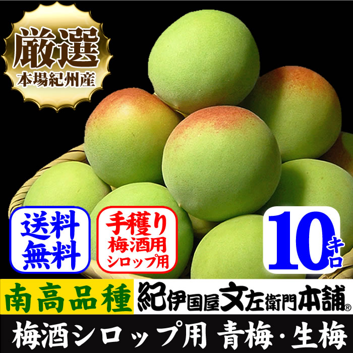 予約販売　厳選南高梅 フレッシュ青梅(生梅)【 緑 】１０ｋｇ 梅干のブランド 厳選 朝採り手選別　青梅(生梅)　南高梅【梅酒用・梅干用】【送料無料】/6月上旬から順次発送予定