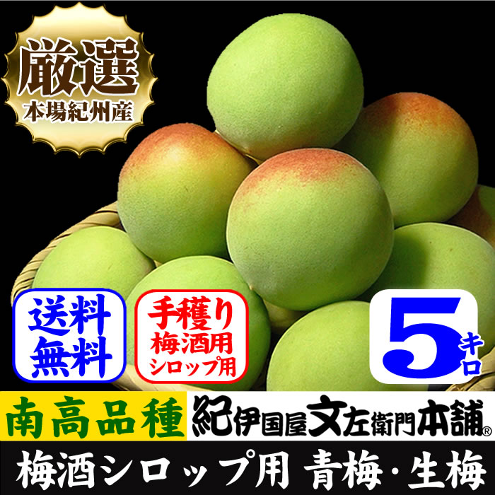 予約販売 厳選南高梅 フレッシュ青梅(生梅)【 緑 】５ｋｇ 梅干のブランド 厳選 朝採り手選別　青梅(生梅)　南高梅【梅酒用・梅干用】【送料無料】/6月上旬から順次発送予定