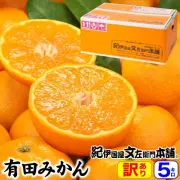 【予約販売】紀伊国屋認定 有田みかん【サイズ混合】約5kg【訳あり】ご家庭用　送料無料・産地直送／10月中旬頃から順次発送予定