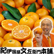 生産者限定有田みかん 和歌山みかんドットコム 