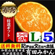 赤秀】選別 特選ギフト紀伊国屋文左衛門本舗認定