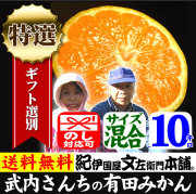 有田みかん 10キロ箱 和歌山みかんドットコム