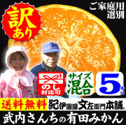 みかん　武内