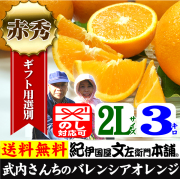 武内　バレンシア