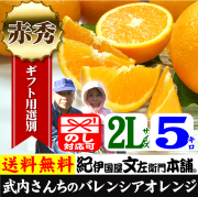 バレンシアオレンジ 和歌山みかんドットコム