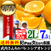 武内　バレンシア